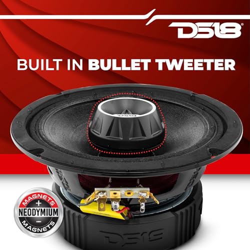 Amazon.com: DS18 PRO-ZT6 and DSFR6 Pair of 6.5